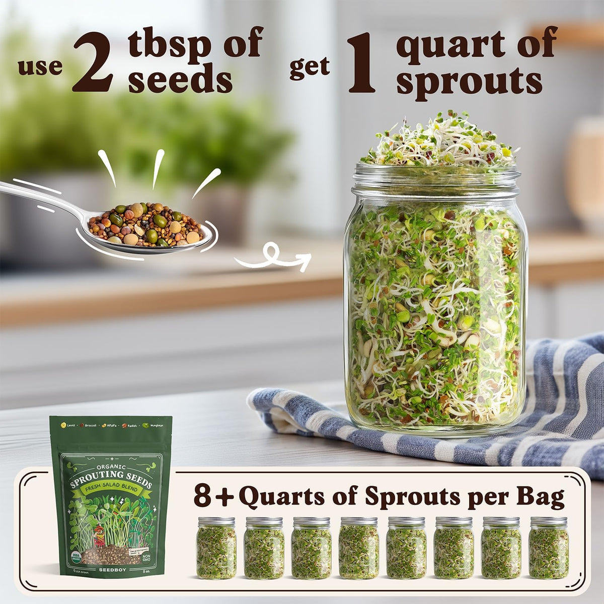Seedboy Organic Non-GMO Sprouting Seeds, Fresh Salad Blend – USA Grown Microgreens Mix with Alfalfa, Broccoli, Radish, Mung Bean & Lentil – 8 oz Bag Makes 8 Quarts / 24 Servings (Salad Blend)