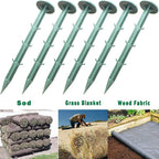 6-Inch Plastic Stakes Sturdy Plastic Stakes Anchors Rustproof for Holding Down Landscape Fabric Lawn Edging,Weed Barrier, Tents,Game Nets and Rain Tarps (50)