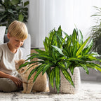 4 Pcs Artificial Greenery Stems Dracaena Faux Branches Artificial Plants Realistic Fake Dracaena Greenery Realistic Plants for Indoor Outdoor Porch Patio Home Office Living Room Decor (Light Green)