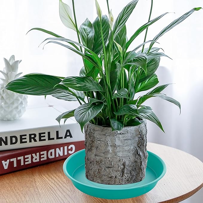 6 Pack of 10 inch Plant Saucer Blue, Heavy Duty Plastic Plant Saucer 10 inch Round, Flower Plant Saucers for Indoors, Plant Trays for Planter 8"/9"/10" (10", Teal)