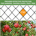 Bird Netting - 50'x100' Heavy Duty Nylon Net with 2' Mesh for Garden Protection, Chicken Coop, Orchard