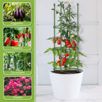 2 Pack Up to 59 Inch Height Adjustable Tomato Cages for Garden