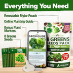 HOME GROWN Lettuce Seeds for Planting - 8 Varieties Non-GMO Heirloom Salad Greens Seeds - 9000+ USA-Sourced Vegetable Seeds for Planting Outdoors, Indoors, Hydroponic Garden