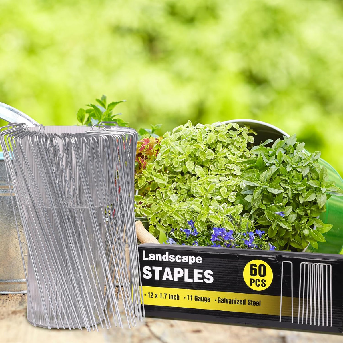 HongWay 60 Pack 12 Inch Landscape Staples, Tent Stakes Heavy Duty Galvanized 11 Gauge Garden Pins Ground Staples for Lawn Yard Fence Landscaping Fabric Outdoor Decorations