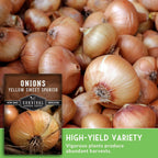 Yellow Sweet Spanish Onion Seed for Planting - 2 Packets with Instructions to Plant and Grow Long Day Onions in Your Home Vegetable Garden - Non-GMO Heirloom Variety - Survival Garden Seeds