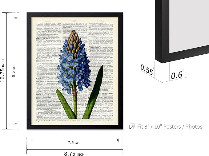 Poster Master Dictionary Art Poster - Blue Hyacinth Print - Flower Art - Floral Art - Gift for Men, Women & Florist - Minimal Decor for Bedroom, Office, Dorm or Flower Shop, 8x10 Black Framed