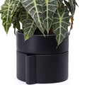 Phoenix Vine 8 Inch Self-Watering Planter Pot with Terracotta Insert, Deep Water Reservoir, and Ceramic-Alike BPA-Free Plastic Planter Pot for Plant, Modern Planter for Houseplants, Black, 53-A-T-2
