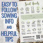Seed Needs Low Growing Wildflower Flower Seeds for Planting | 10 Packs (1 Ounce Each) Mixture/Blend 17 Varieties | Resealable Package Multicolored Blooms Open Pollinated Mixed Species | Bulk