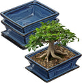 Ceramic Bonsai Pots with Drainage Tray Set of 2, 6 Inch Blue Glazed Bonsai Planters for Indoor/Outdoor Use, Shallow Rectangular Bonzai Tree Pots for Succulent, Orchids, Cacti, Home, Patio, Garden