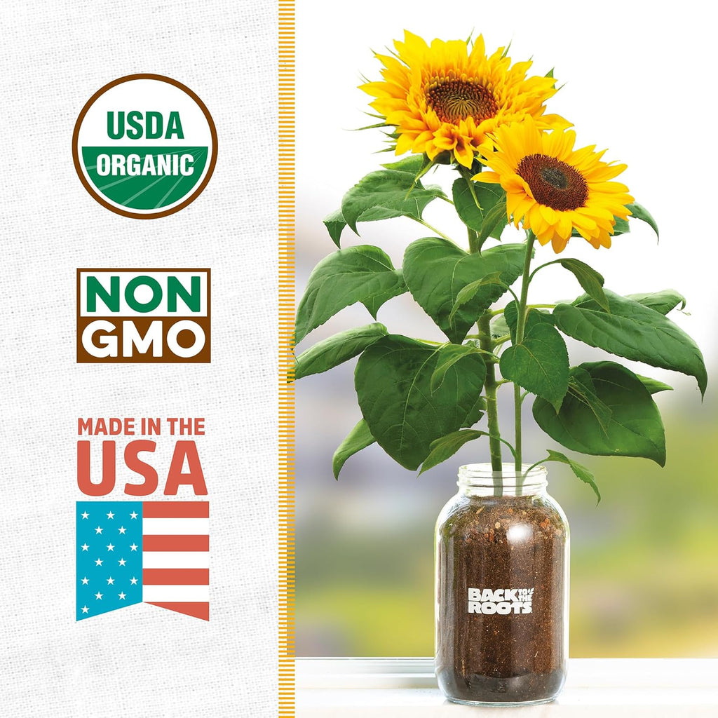 Back to the Roots Sunflower Organic Windowsill Planter Kit - Grows Year Round, Includes Everything Needed for Planting