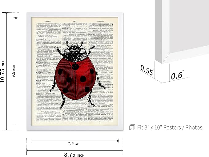 Poster Master Dictionary Art Poster - Retro Ladybug Print - Insect Art - Red Bug Art - Gift for Men, Women & Animal Lover - Minimal Decor for Living Room & Kid's Room, 8x10 White Framed