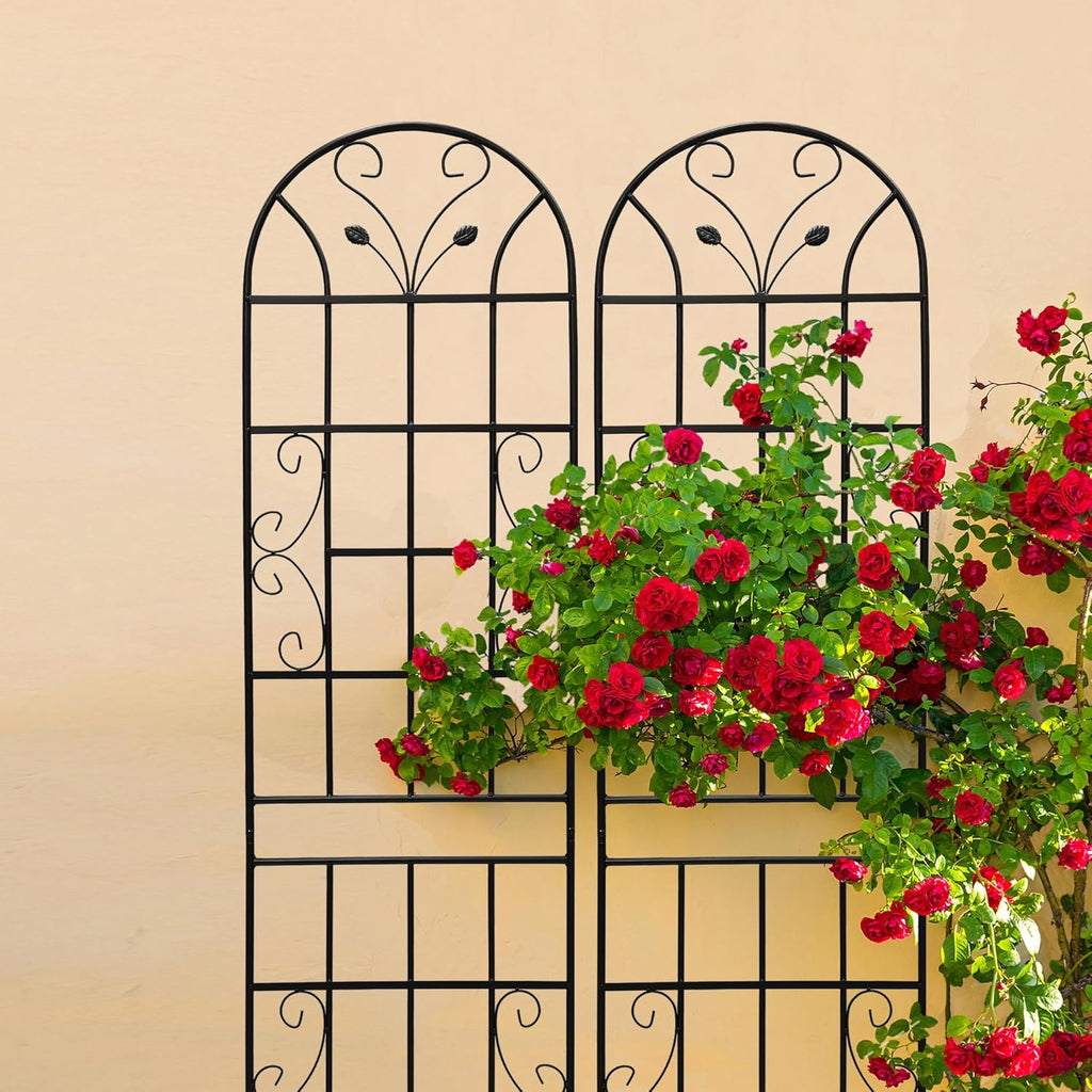 2 Pack Metal Garden Trellis 86.7" Tall Outdoor Climbing Plant Support for Roses, Flowers, Rustproof Durable Black Galvanized Tube, Lawn Garden Fence Decor Screen (2, Black curves-86.7" H)
