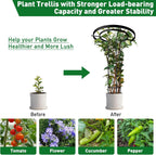 Mushroom Top Trellis for Climbing Plants Outdoor, 5.74FT Decorative Obelisk Plant Support with Rustproof PE-Coated Metal Poles, Rose Trellis for Clematis Ivy, Black