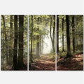 Designart Oversized Canvas Wall Art Décor - Green Fall Forest with Sun Rays - Forest Nature Wall Art Decor Sunshine Through Forest and Road Canvas Pictures - 36" x 28"