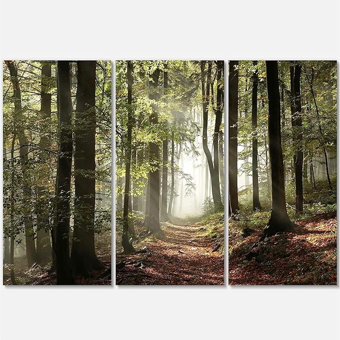 Designart Oversized Canvas Wall Art Décor - Green Fall Forest with Sun Rays - Forest Nature Wall Art Decor Sunshine Through Forest and Road Canvas Pictures - 36" x 28"