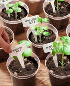 homenote Clear Nursery Pots for Plants,3/4/5/6.7 Inch Plant Pot for Planting Plastic Seedling Pots with Drainage Holes Seed Starter Pot Flower Pots High Transparency with 20 Plant Labels (36 Pack)
