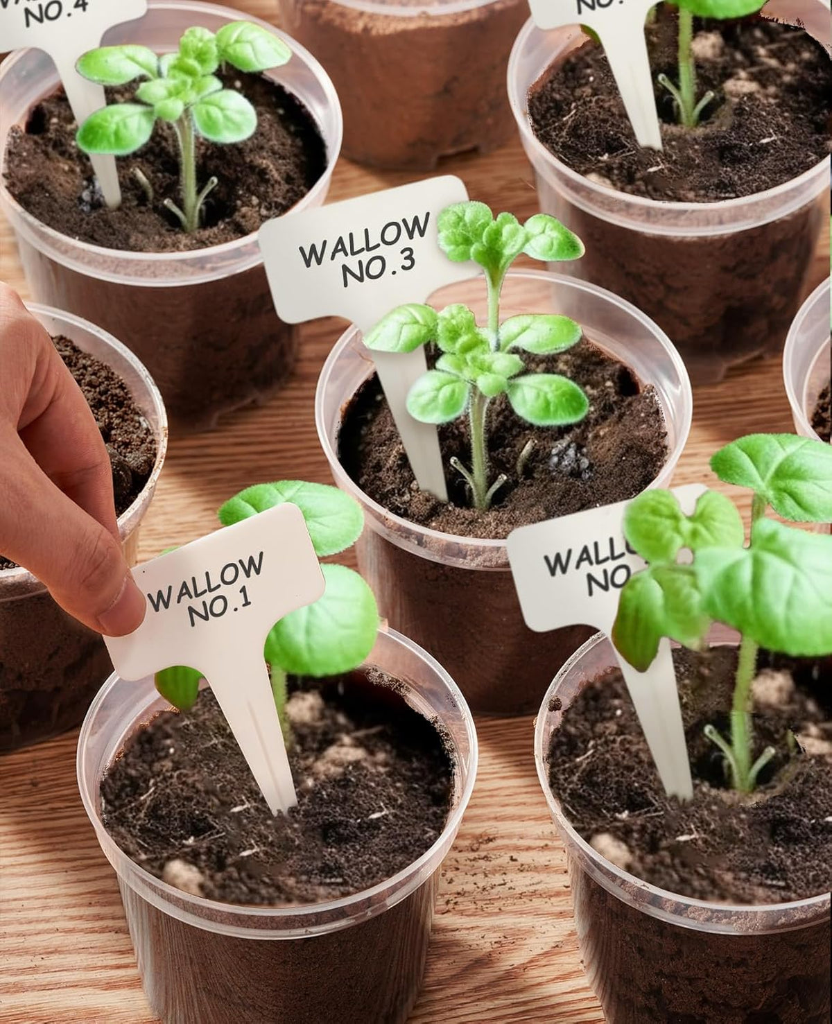 homenote Clear Nursery Pots for Plants,4/5/6.7 Inch Plant Pot for Planting Plastic Seedling Pots with Drainage Holes Seed Starter Pot Flower Pots High Transparency with 20 Plant Labels (30 Pack)
