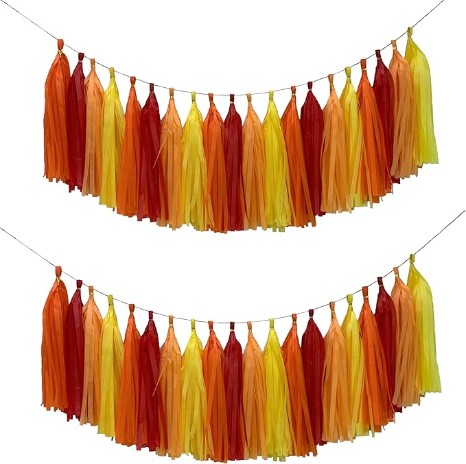 Red Orange Yellow Tissue Paper Tassel Garland,Tissue Tassel Banner for Party Decorations,Pack of 20