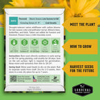 Survival Garden Seeds - Maximilian Sunflower (Helianthus maximiliani) | 10-Foot Prairie Giant | Fall Blooming Pollinator Magnet | North American Native Wildflower Seed for Planting - 1 Pack
