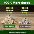 HOME GROWN 𝗨𝗦𝗔 𝗣𝗥𝗘𝗠𝗜𝗨𝗠 Organic Cucumber Seeds - 200 Marketmore Heirloom 𝗡𝗢𝗡-𝗚𝗠𝗢 Vegetable Seeds for Planting in Trellises, Raised Beds, Containers (Cucumis sativus)