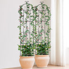 VEVOR Garden Trellis for Climbing Plants, 87 x 20 in, 4 Packs Rustproof Metal Garden Flower Rose Trellis, Outdoor Climbing Clematis Trellis Cucumbers Support for Courtyards Lawns