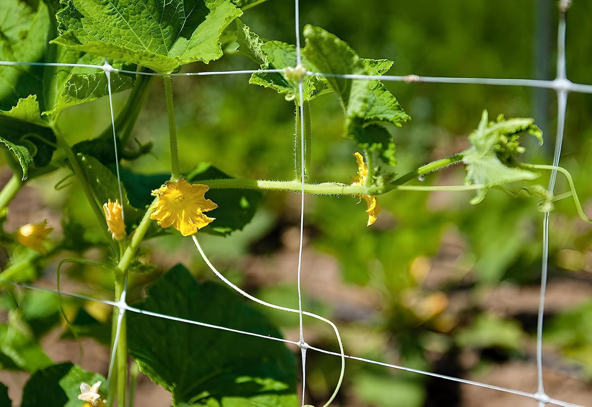 Trellis Netting, Aaamazing Netting, Scrog Net, Trellis Net, 4ft x 4920ft Roll, for Climbing Plants, Cut Flower Support, Garden, Grow Pea, Bean, Grape Vine, Mesh, Heavy Duty, 6x6 Inch Squares
