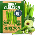 HOME GROWN 𝗨𝗦𝗔 𝗣𝗥𝗘𝗠𝗜𝗨𝗠 Clemson Spineless Okra Seeds 101+ 𝗡𝗢𝗡-𝗚𝗠𝗢 Heirloom Vegetable Seeds for Planting Easy to Grow Outdoor Summer Garden High Germination Rate (Abelmoschus esculentus)