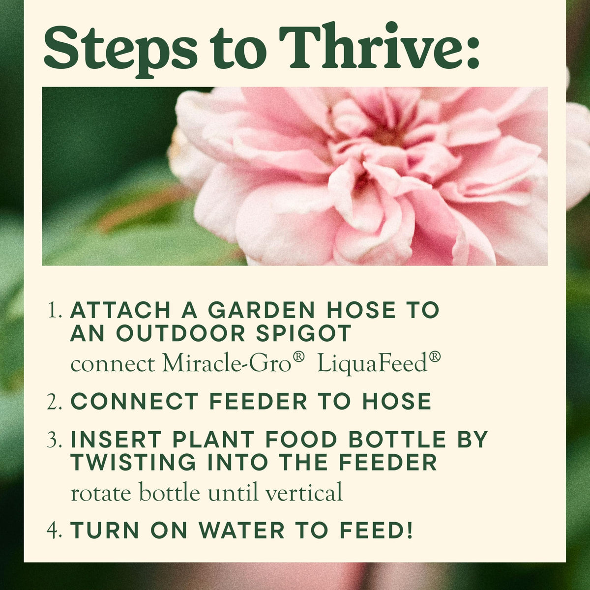 Miracle-Gro LiquaFeed All Purpose Plant Food Advance Starter Kit