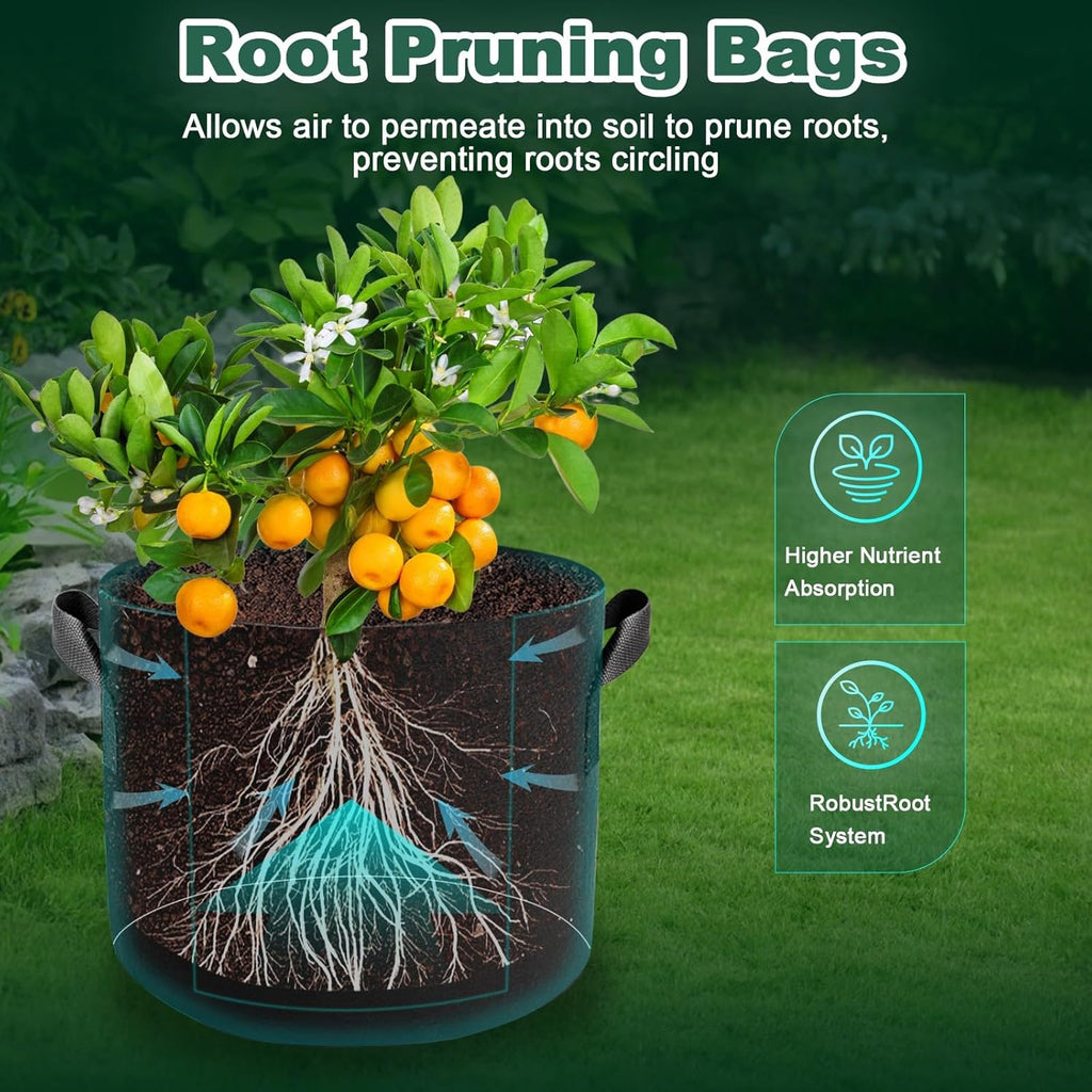 5 Pack 5 Gallon Grow Bags, Thickened Aeration Nonwoven Fabric Plant Pots with Handles, Heavy Duty 300G Garden Planting Bag for Tomato, Potato, Strawberry, Vegetable, Fruits and Flowers