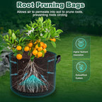 5 Pack 10 Gallon Thickened Grow Bags, Aeration Nonwoven Fabric Planting Bags with Handles, Heavy Duty 300G Garden Planter Pot for Tomato, Potato, Strawberry, Vegetable, Fruits and Flowers