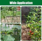 Garden Stakes 24 Inches Steel Plant Stakes Tomato Stakes 2ft Pack of 25