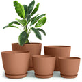 Plant Pots Indoor with Drainage, 5 Pack Multi-Size Planters Set, Terracotta