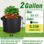 PHYEX 12-Pack 2 Gallon Grow Bags, Heavy Duty Fabric Pots with Handles, Reusable Plant Bags for Vegetable, Herbs & Flowers, BPA-Free, Breathable, Durable