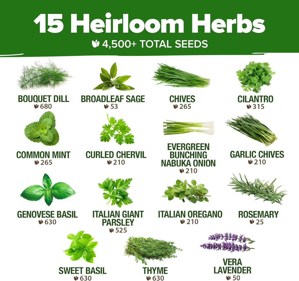 HOME GROWN 15 Herb Seeds for Planting 4,500+ Non-GMO Heirloom Seeds | Extra Large Variety Pack Herb Kit – Indoor Outdoor & Hydroponic | Culinary Seed Set | Grow Your Own Herbs | Gardening Gift