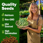 HOME GROWN Contender Bush Seeds - 56 𝗡𝗢𝗡-𝗚𝗠𝗢 𝗨𝗦𝗔-𝗦𝗢𝗨𝗥𝗖𝗘𝗗, Heirloom Green Beans for Planting - Emergency Food Supply (Phaseolus vulgaris)