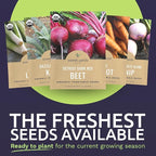 Organic Cold Hardy Fall & Winter Seeds Variety Pack - 10 Individual Packs - 2026 Season - Caulifower, Turnip, Kale, Carrots and More! for Indoor & Outdoor Planting (Non-GMO, Certified Organic)