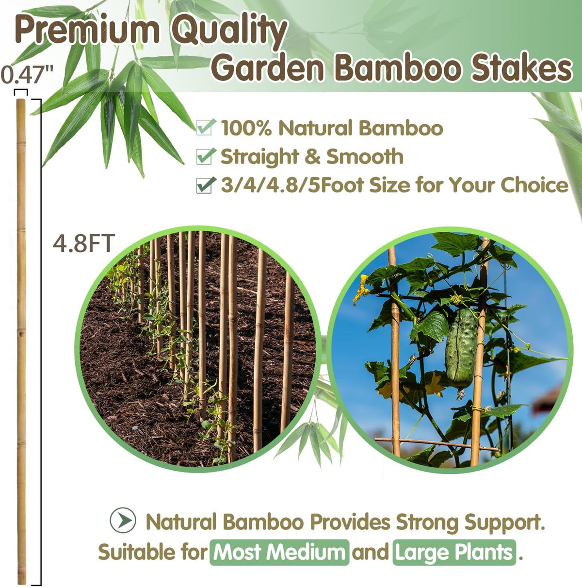 Bamboo Stakes,4.8FT Natural Bamboo Garden Stakes,BOVITRO 20Pcs Plant Stakes,Bamboo Sticks for Tomato,Beans,Vegetable and Climbing Plants