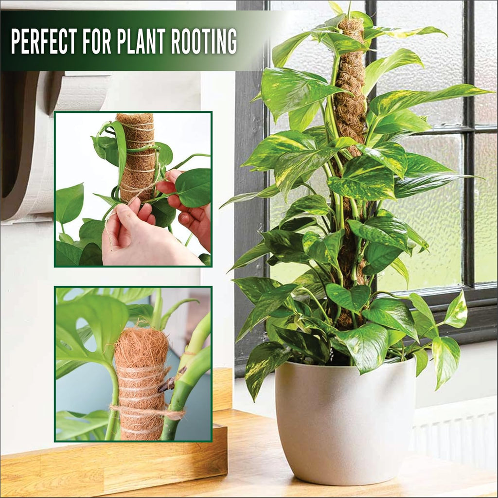 Moss Pole Pack of 2 – 50CM Monstera Plant Support | Natural Coco Coir Plant Poles for Indoor Plants | Extendable Moss Sticks for Climbing Plants, Pothos & Philodendron
