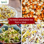 Nature Jims Radish Sprout Seeds – 16 Ounce Organic Sprouting Seeds – Non-GMO Premium Radish – Resealable Bag for Longer Freshness Rich in Vitamins, Minerals, Fiber