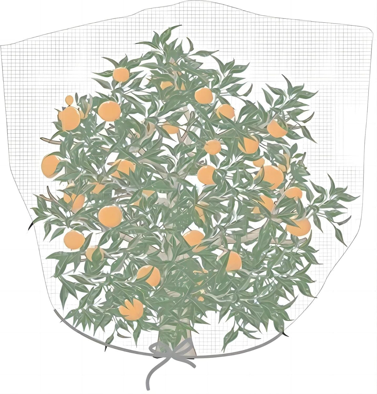Agfabric Bird Netting 84" Hx84 W Garden Netting Insect Pest Barrier,Plant Cover Fruit Tree Netting Mesh Protection Bag with Drawstring,White