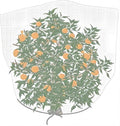 Agfabric Bird Netting 72" Hx72 W Garden Netting,Plant Cover Fruit Tree Netting Mesh Protection Bag with Drawstring,White