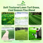 Outsidepride Midnight Kentucky Bluegrass Seed - 5 Lbs. Cold & Drought Tolerant, Sun-Loving Lawn Grass Seed, w/High Traffic Tolerance & Deep Root System, OptiGrowth Coated for Better Establishment