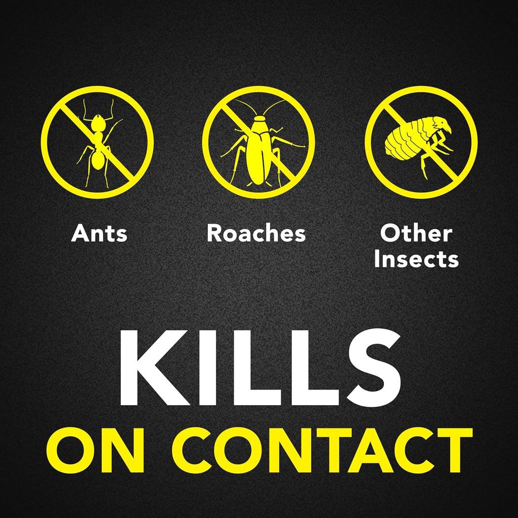 Raid Ant and Roach Killer, Fragrance Free, 17.5 OZ