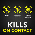 Raid Ant & Roach Killer Spray For Listed Bugs, Keeps Killing for Weeks, Fresh Scent, 17.5 oz