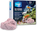 Fish Tank Rocks for Enhancing Water Clarity with Your Regular Cleaning Routine, Fish Friendly Aquarium Rocks, All Natural Aquarium Decor, Small, Up to 750 Gallons