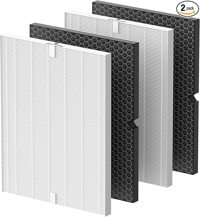 Smilyan 2 Sets 116130 HEPA Replacement Filter H for Winix 5500-2 Plasmawave Air Purifier and Models AM80, Includes 2 Pack Ture HEPA Filters + 2 Pack Activated Carbon Pre-Filters