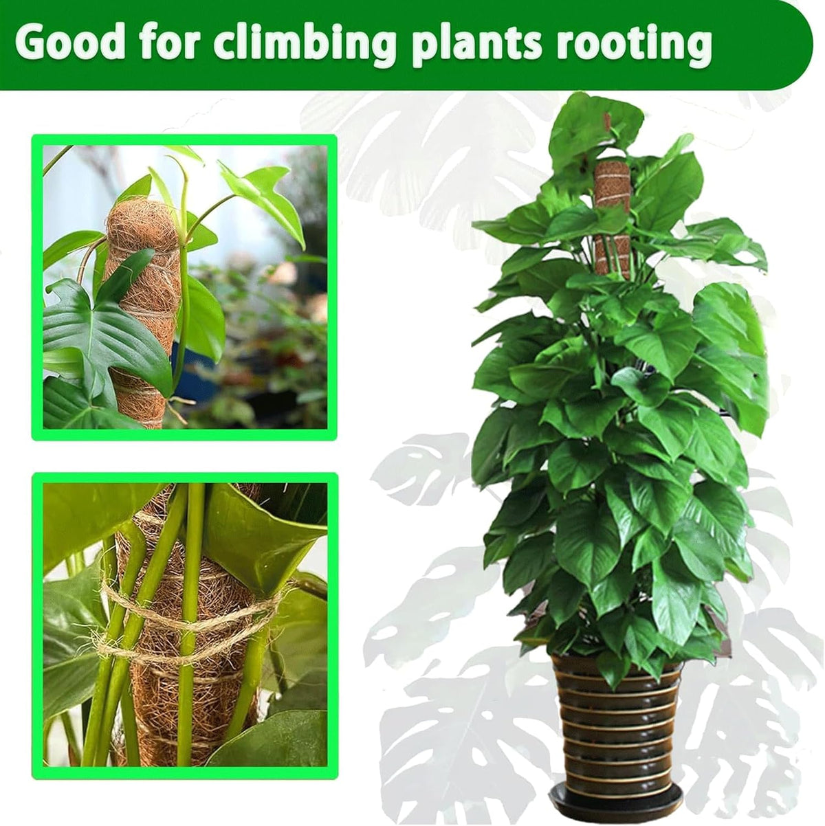 Moss Pole, 4Pack 21 Inch Plant Support Stakes for Indoor Plants, Monstera Plant Support Stakes, 69 Inch Tall Coir Plant Pole Sticks for Potted Plants, Pothos, Philodendron, Climbing Plants Accessories