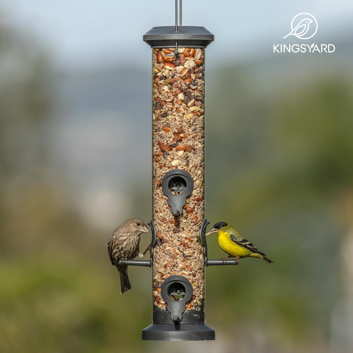 Kingsyard 2 Pack Tube Feeders with 6 Feeding Ports for Outdoors Hanging, Premium Hard Plastic Weatherproof & Steel Hanger, Attracting for Wild Birds (Black)