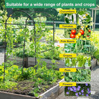 Garden Arch Cucumber Trellis for Climbing Plants Outdoor, 6.7ft Tall Archway Arbor Plant Support Grape Vine Tomato Pea Bean Trellis for Raised Bed Backyard, Black