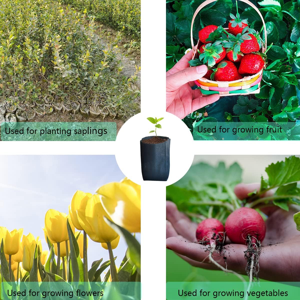 gardtree Plant Nursery Bags 7” x 7.87” 400PCS, Non-Woven Biodegradable Plant Grow Bags Fabric Seedling Starter for Vegetable Flower Fruit Saplings Tree, Home Garden Supply